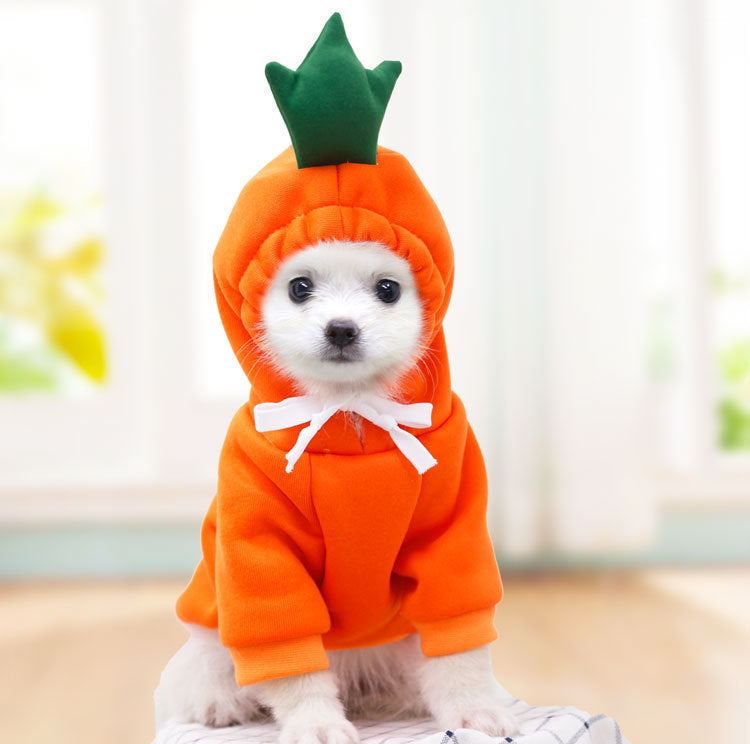 Cute Fruit Dog Hoodie carrot style — Chihuahua wearing orange carrot fleece hoodie close-up portrait