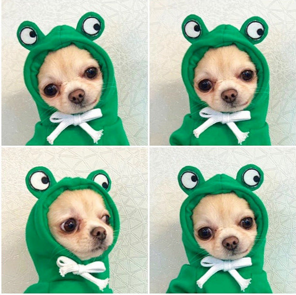 Cute Fruit Dog Hoodie — small dog wearing orange carrot costume hoodie standing pose