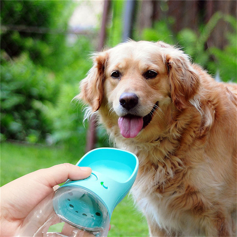 Golden Retriever in outdoor garden looking at camera as owner offers water from teal Portable One-Touch Pet Water Bottle