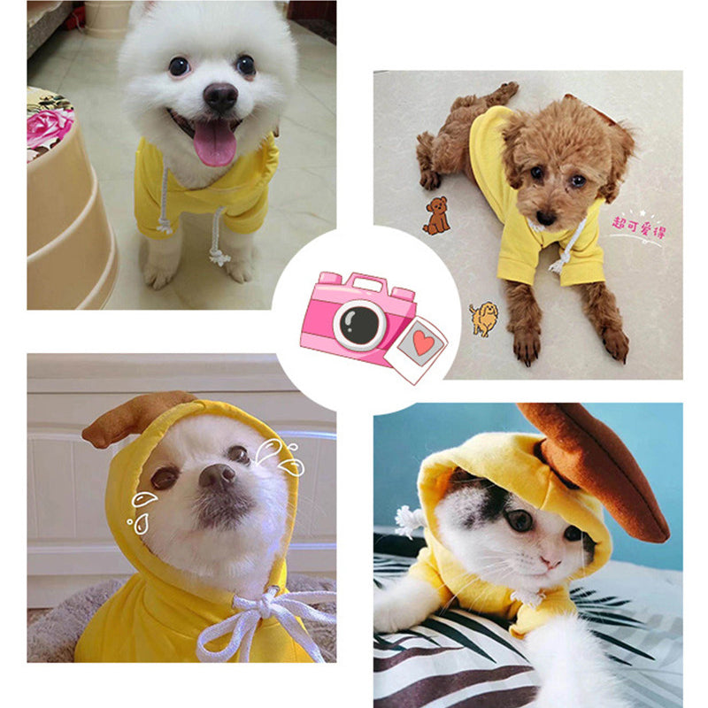 Cute Fruit Dog Hoodie size chart — available in XS to 2XL for small dogs and cats