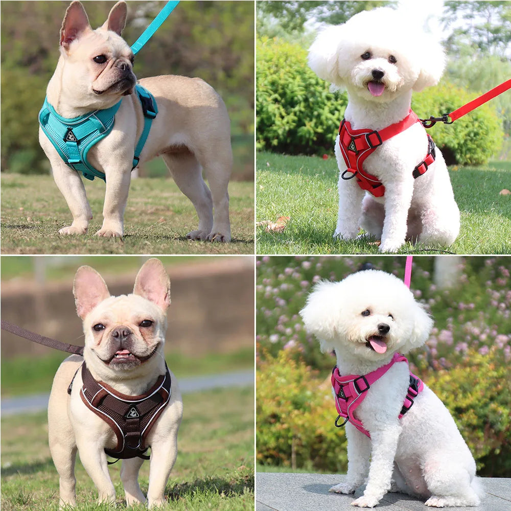 No-Pull Dog Harness Set - Reflective dog harness and leash in multiple colors for small and medium dogs