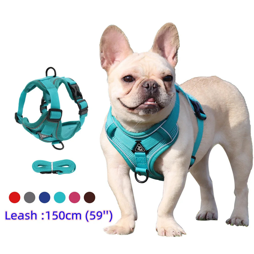 Teal No-Pull Dog Harness - Reflective no-pull pet harness and leash set on French Bulldog for comfortable walking