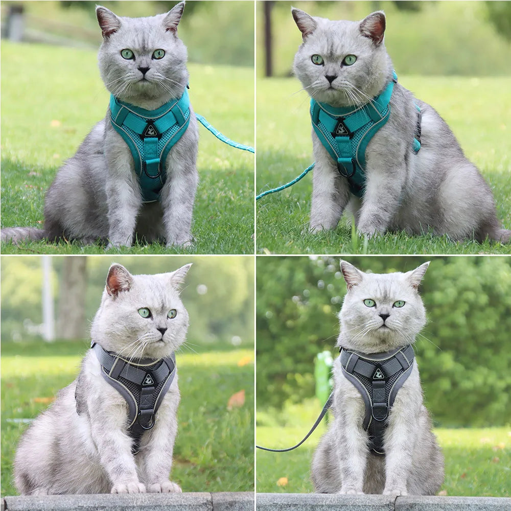Gray Cat No-Pull Harness - Reflective teal and gray no-pull pet harness and leash set on gray cat for comfortable walking