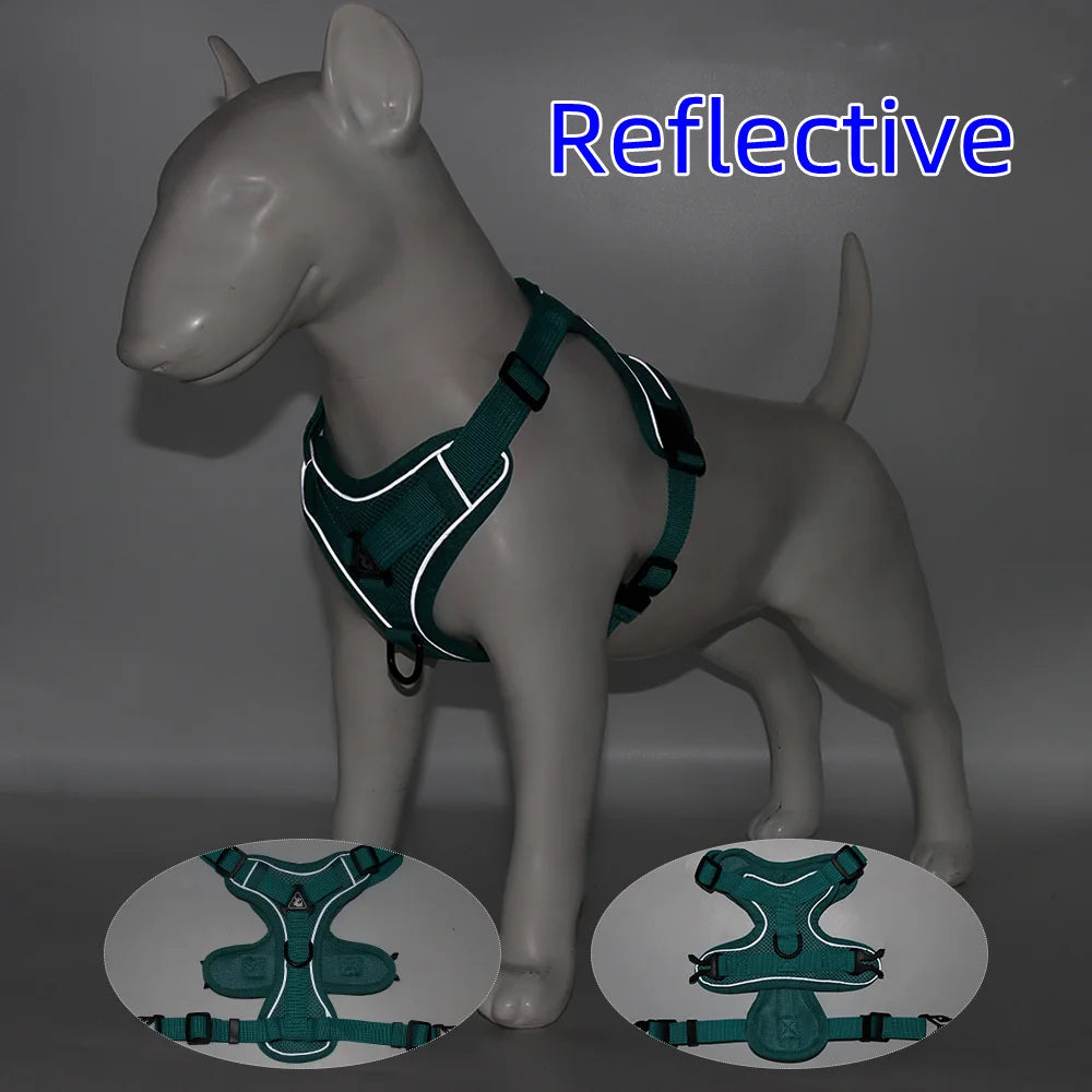 Teal No-Pull Pet Harness on Mannequin - Reflective dog harness and leash set for easy walking control