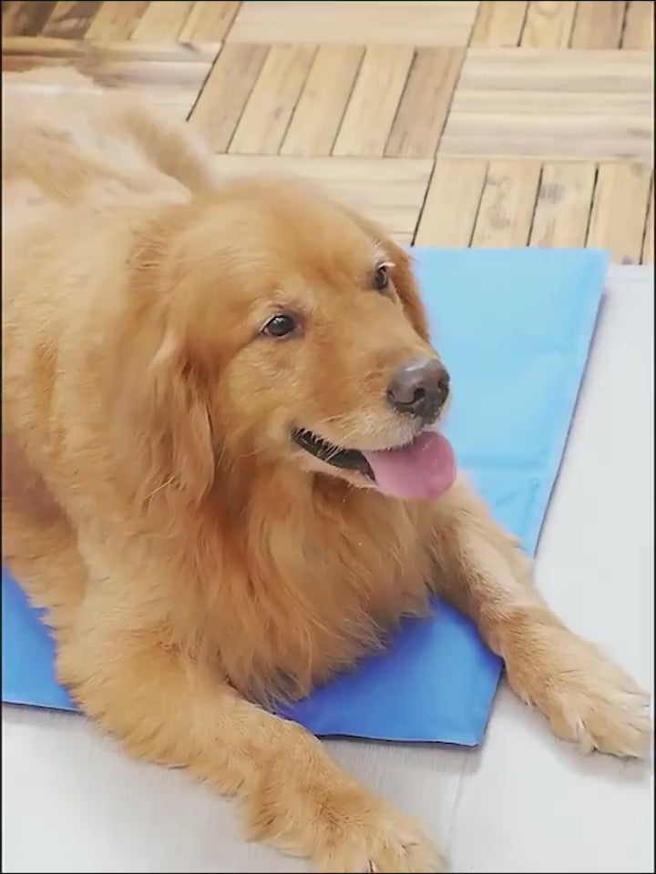 Pet Ice Pad Gel Cooling Ice Pad Summer Pet Pad Dog
