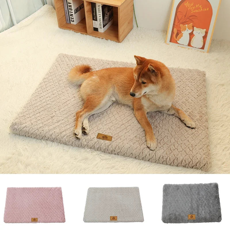 Orthopedic Memory Foam Pet Bed - Beige orthopedic dog bed with removable washable cover for dogs and cats joint support