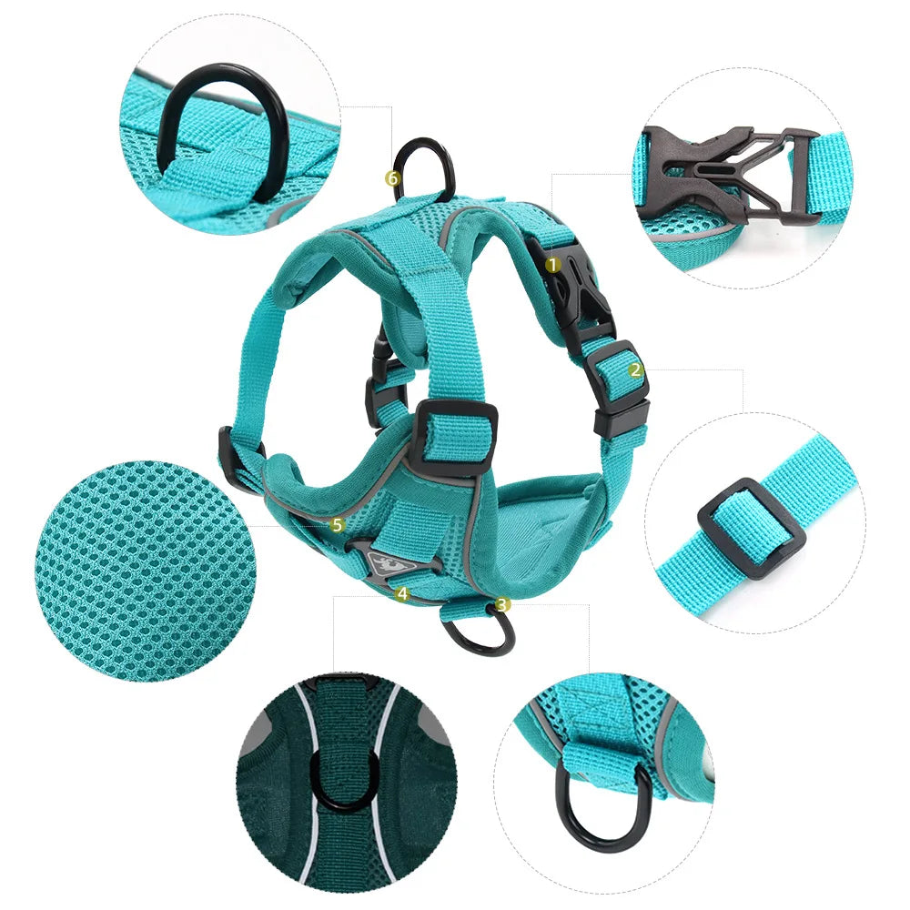 Teal Reflective No-Pull Harness Detail - Adjustable no-pull dog harness with breathable mesh and reflective strips
