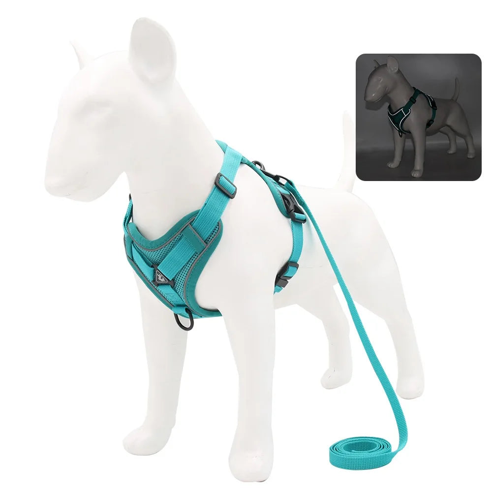 Teal No-Pull Harness on Mannequin - Reflective teal dog harness and leash set for comfortable control